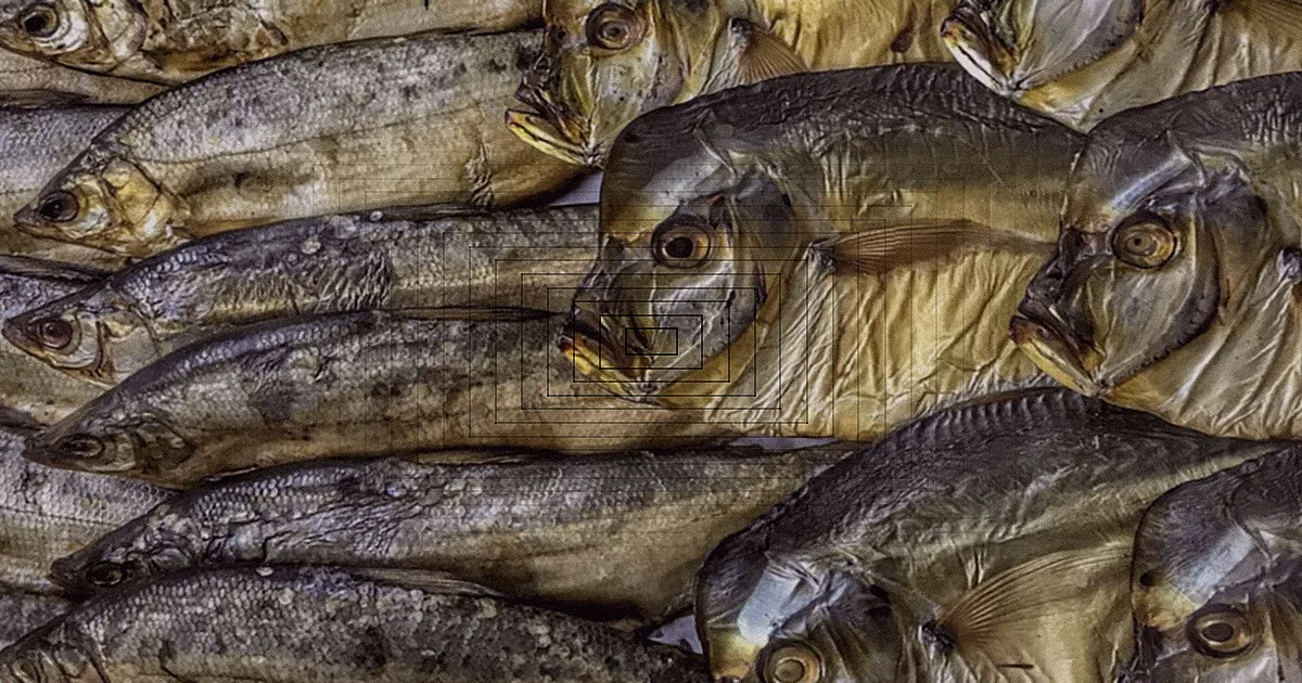 Peixes frescos e mariscos expostos em uma banca de mercado de peixe.